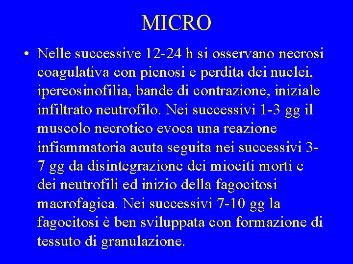 MICRO • Nelle successive 12 -24 h si osservano necrosi coagulativa con picnosi e