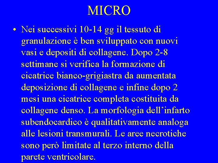 MICRO • Nei successivi 10 -14 gg il tessuto di granulazione è ben sviluppato