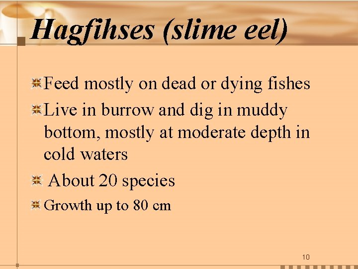 Hagfihses (slime eel) Feed mostly on dead or dying fishes Live in burrow and