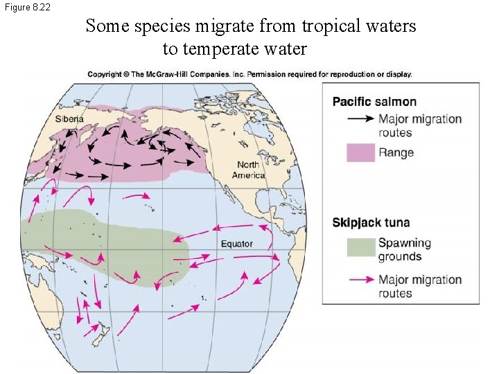 Figure 8. 22 Some species migrate from tropical waters to temperate water 