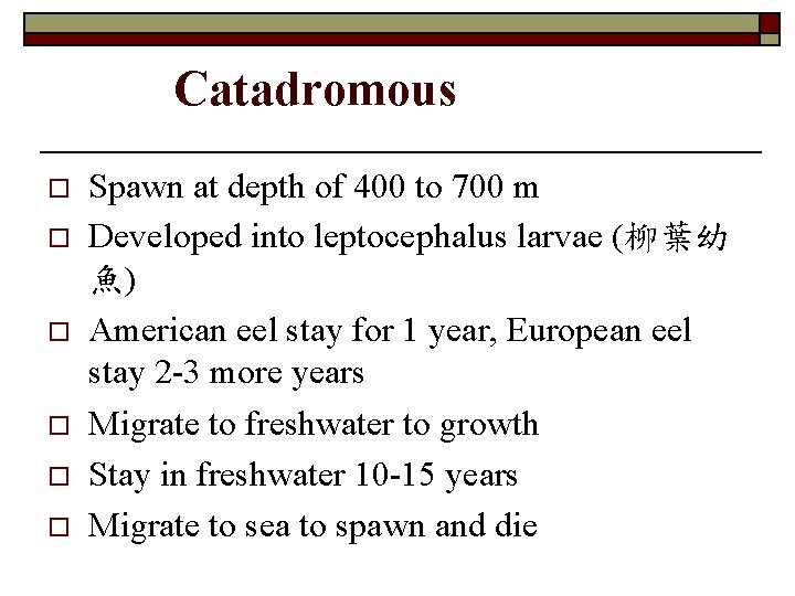 Catadromous o o o Spawn at depth of 400 to 700 m Developed into