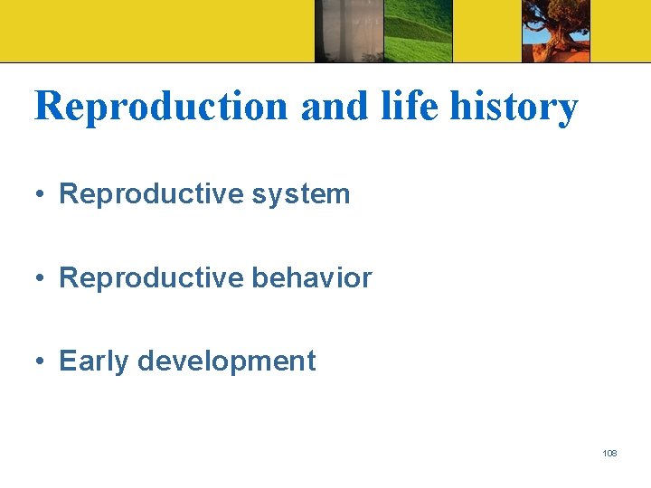 Reproduction and life history • Reproductive system • Reproductive behavior • Early development 108