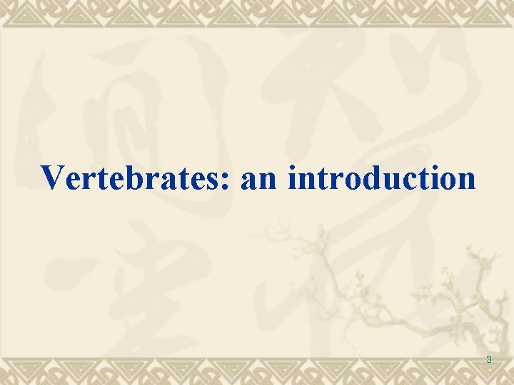 Vertebrates: an introduction 3 