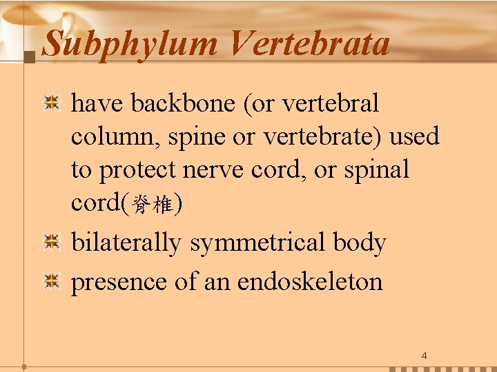 Subphylum Vertebrata have backbone (or vertebral column, spine or vertebrate) used to protect nerve