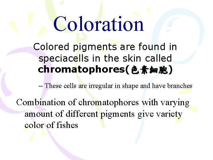 Coloration Colored pigments are found in speciacells in the skin called chromatophores(色素細胞) -- These