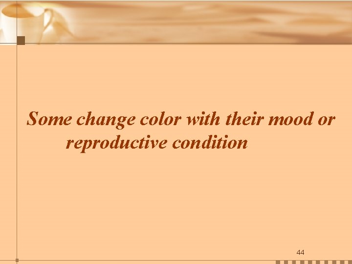 Some change color with their mood or reproductive condition 44 