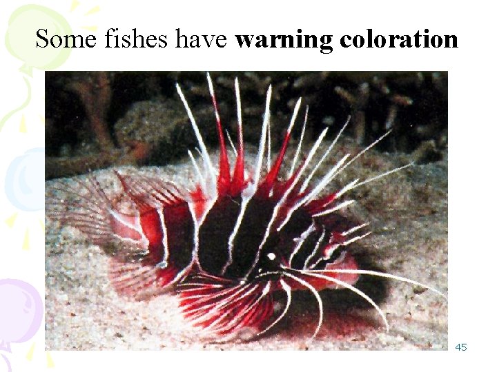 Some fishes have warning coloration 45 