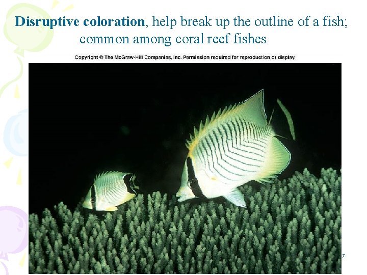 Disruptive coloration, help break up the outline of a fish; common among coral reef