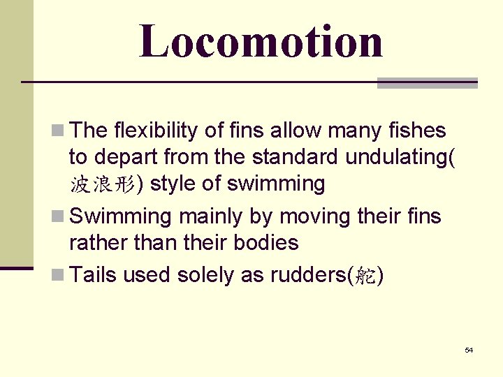 Locomotion n The flexibility of fins allow many fishes to depart from the standard