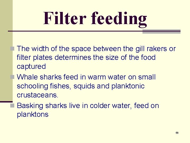Filter feeding n The width of the space between the gill rakers or filter