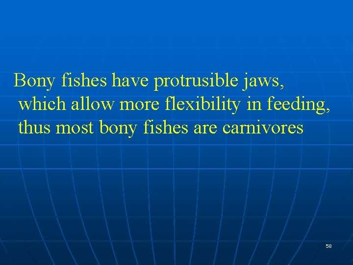 Bony fishes have protrusible jaws, which allow more flexibility in feeding, thus most bony
