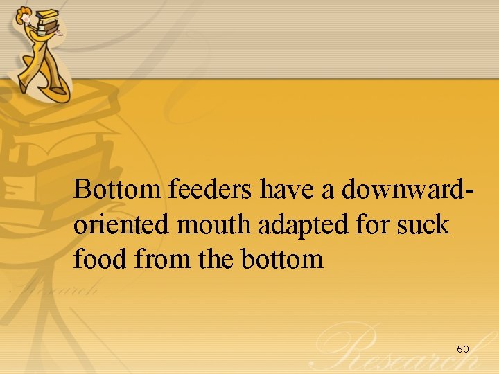 Bottom feeders have a downwardoriented mouth adapted for suck food from the bottom 60