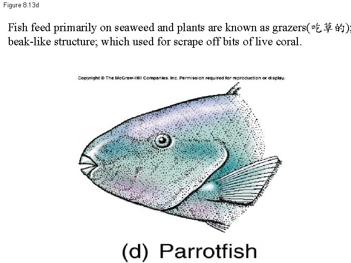 Figure 8. 13 d Fish feed primarily on seaweed and plants are known as