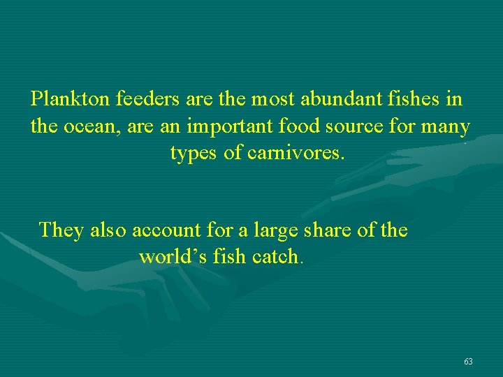 Plankton feeders are the most abundant fishes in the ocean, are an important food