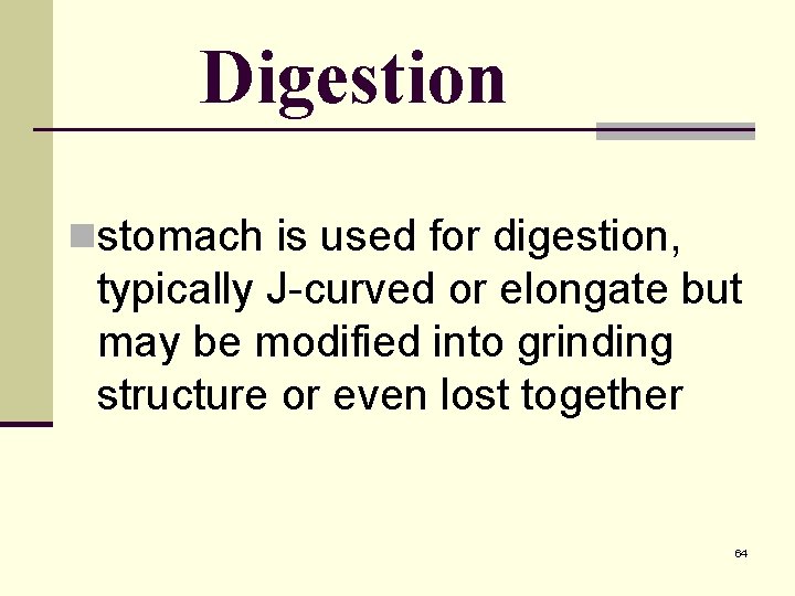 Digestion nstomach is used for digestion, typically J-curved or elongate but may be modified