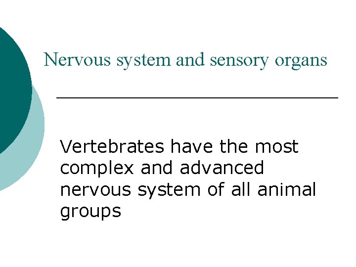 Nervous system and sensory organs Vertebrates have the most complex and advanced nervous system