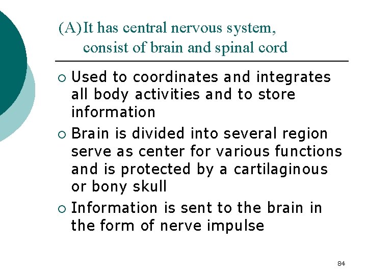 (A) It has central nervous system, consist of brain and spinal cord Used to