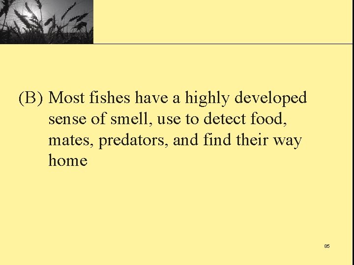 (B) Most fishes have a highly developed sense of smell, use to detect food,