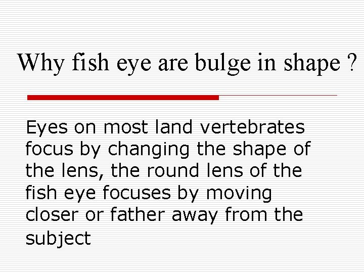 Why fish eye are bulge in shape ? Eyes on most land vertebrates focus