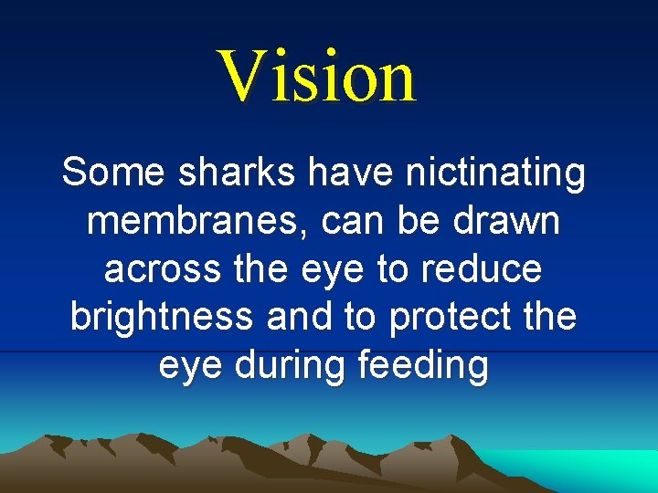 Vision Some sharks have nictinating membranes, can be drawn across the eye to reduce