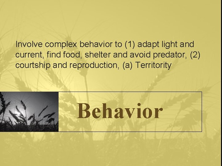 Involve complex behavior to (1) adapt light and current, find food, shelter and avoid