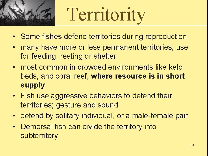 Territority • Some fishes defend territories during reproduction • many have more or less