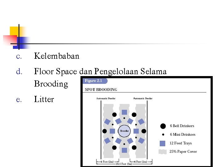 c. Kelembaban d. Floor Space dan Pengelolaan Selama Brooding e. Litter 