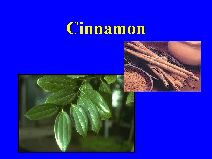 Cinnamon 