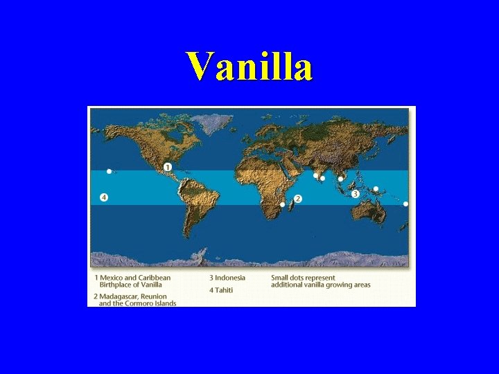 Vanilla 