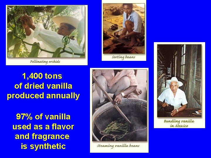 1, 400 tons of dried vanilla produced annually 97% of vanilla used as a