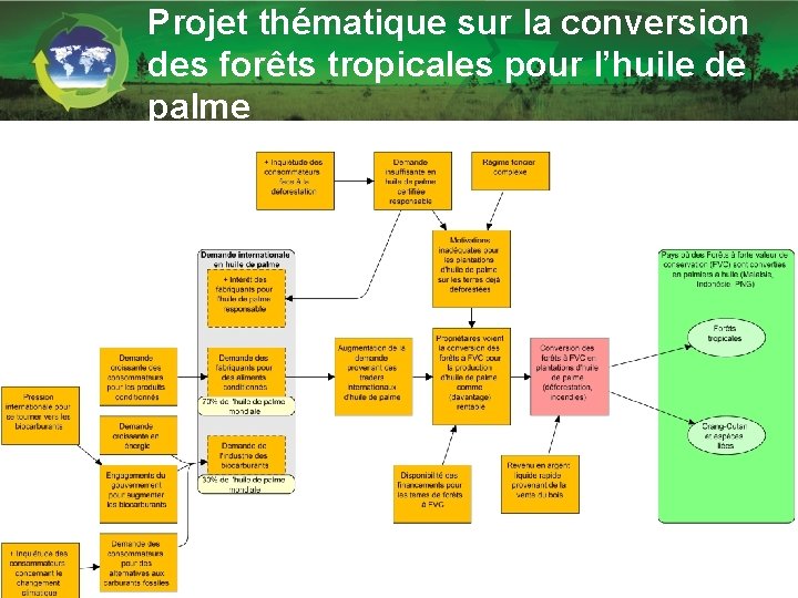 Projet thématique sur la conversion des forêts tropicales pour l’huile de palme 