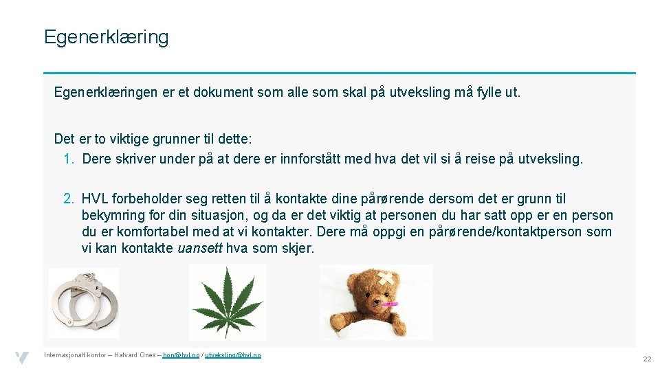 Egenerklæringen er et dokument som alle som skal på utveksling må fylle ut. Det