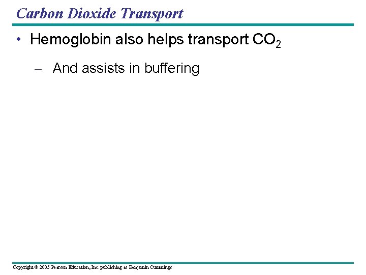Carbon Dioxide Transport • Hemoglobin also helps transport CO 2 – And assists in