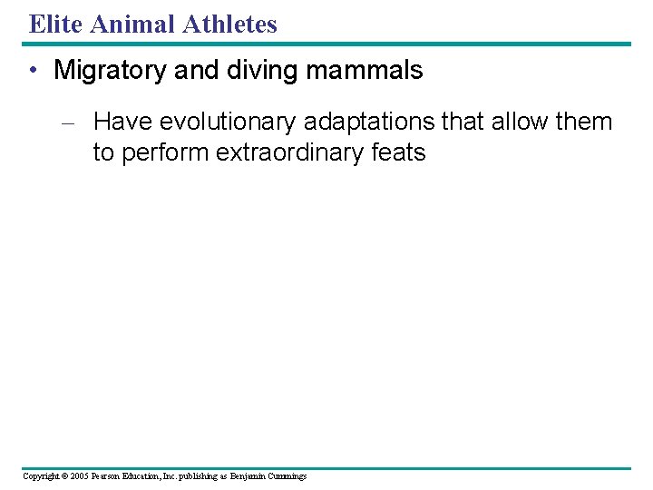 Elite Animal Athletes • Migratory and diving mammals – Have evolutionary adaptations that allow