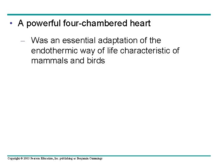  • A powerful four-chambered heart – Was an essential adaptation of the endothermic