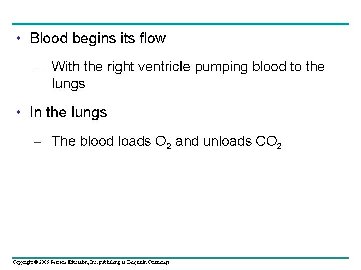  • Blood begins its flow – With the right ventricle pumping blood to