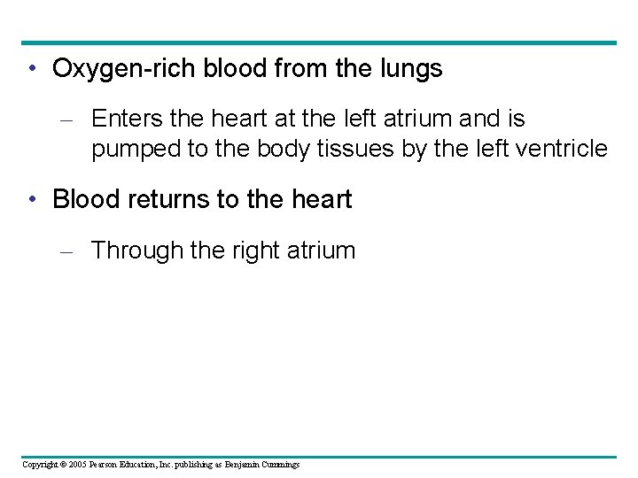  • Oxygen-rich blood from the lungs – Enters the heart at the left