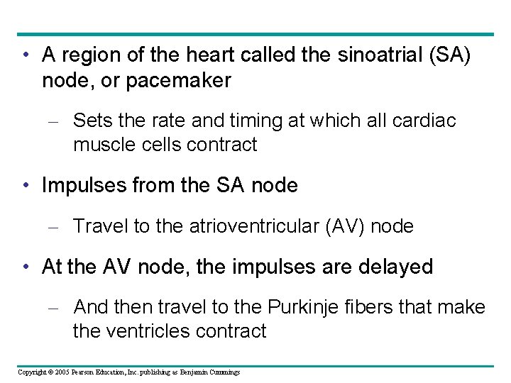  • A region of the heart called the sinoatrial (SA) node, or pacemaker