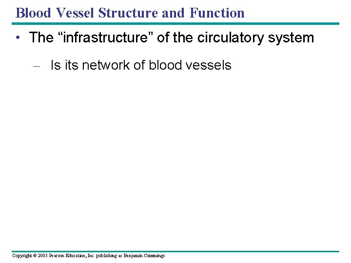 Blood Vessel Structure and Function • The “infrastructure” of the circulatory system – Is