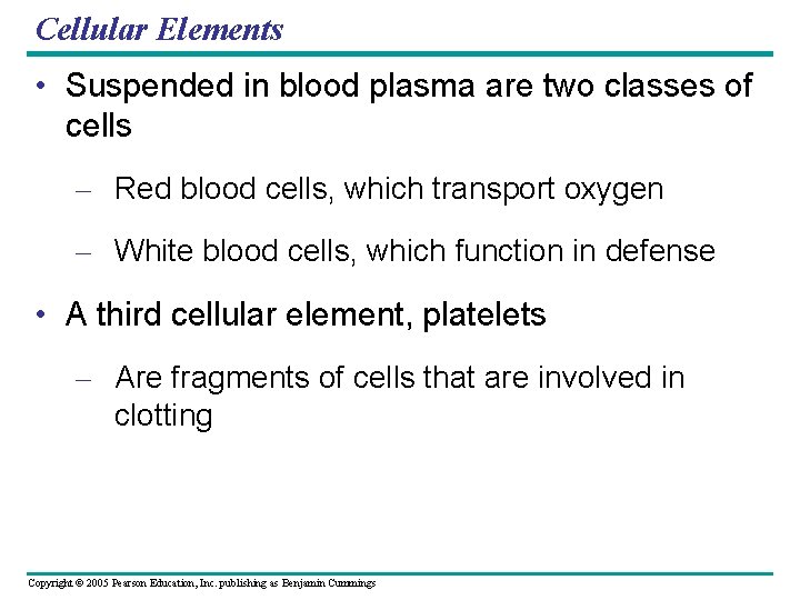 Cellular Elements • Suspended in blood plasma are two classes of cells – Red