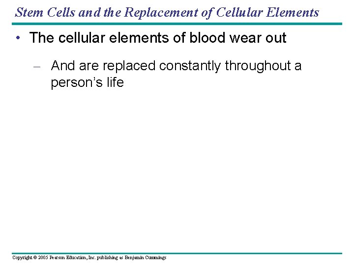 Stem Cells and the Replacement of Cellular Elements • The cellular elements of blood