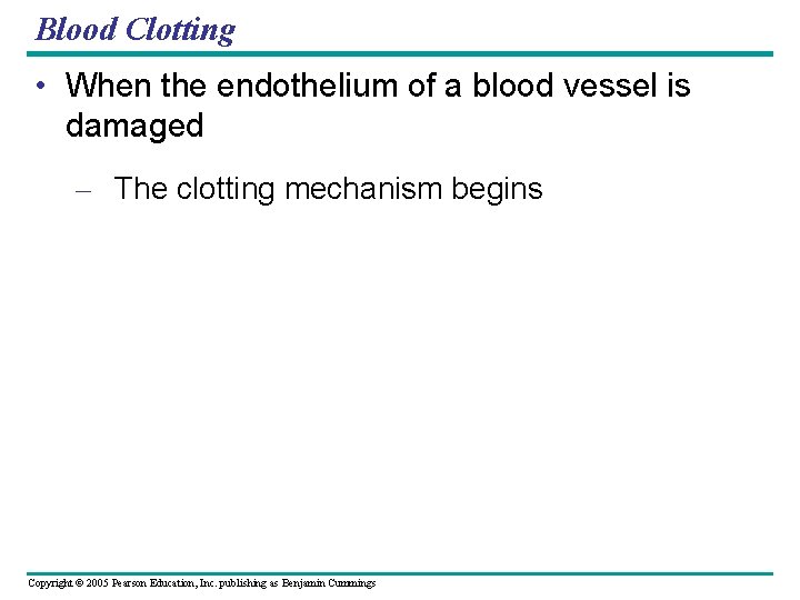 Blood Clotting • When the endothelium of a blood vessel is damaged – The