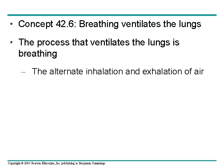  • Concept 42. 6: Breathing ventilates the lungs • The process that ventilates