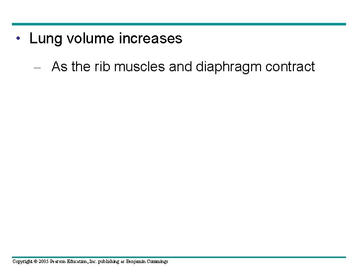 • Lung volume increases – As the rib muscles and diaphragm contract Copyright