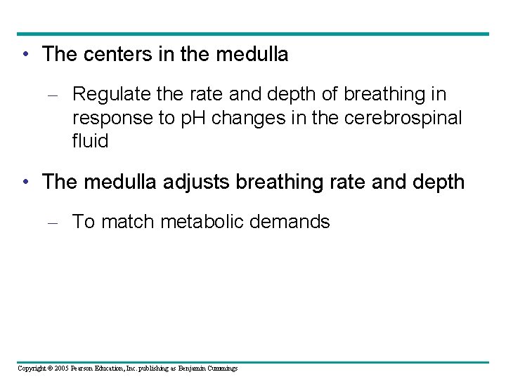  • The centers in the medulla – Regulate the rate and depth of