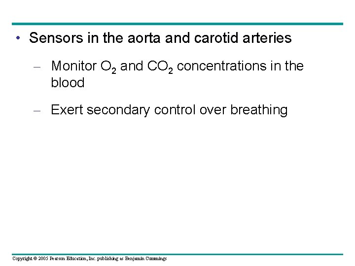  • Sensors in the aorta and carotid arteries – Monitor O 2 and