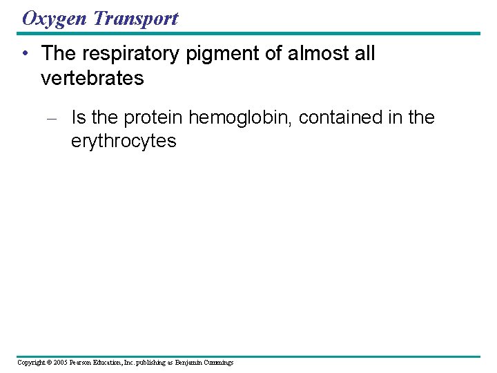 Oxygen Transport • The respiratory pigment of almost all vertebrates – Is the protein