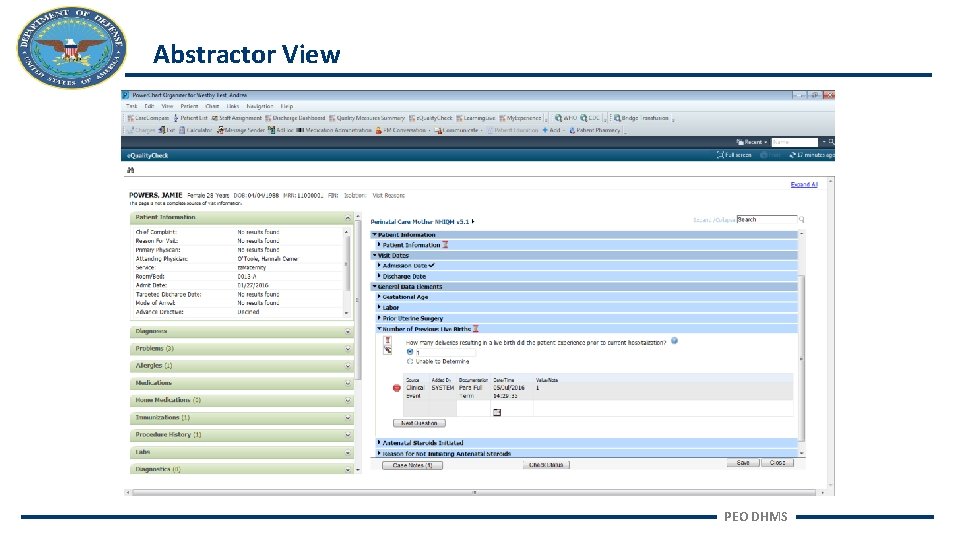Abstractor View PEO DHMS 