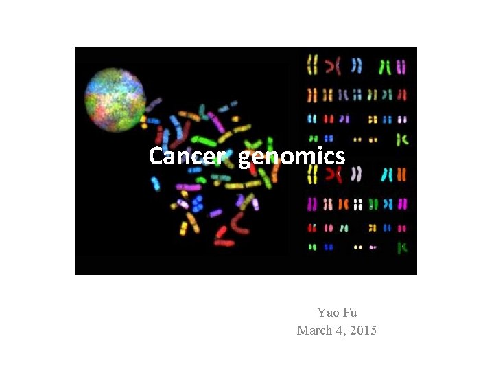 Cancer genomics Yao Fu March 4, 2015 