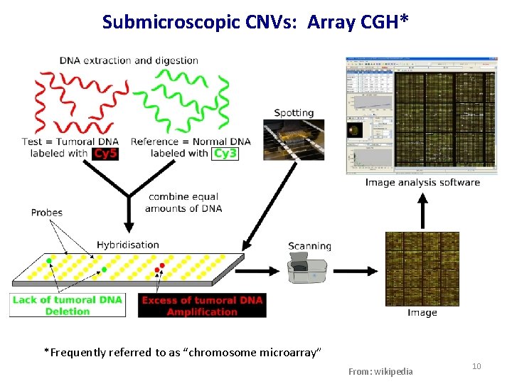 Submicroscopic CNVs: Array CGH* *Frequently referred to as “chromosome microarray” From: wikipedia 10 